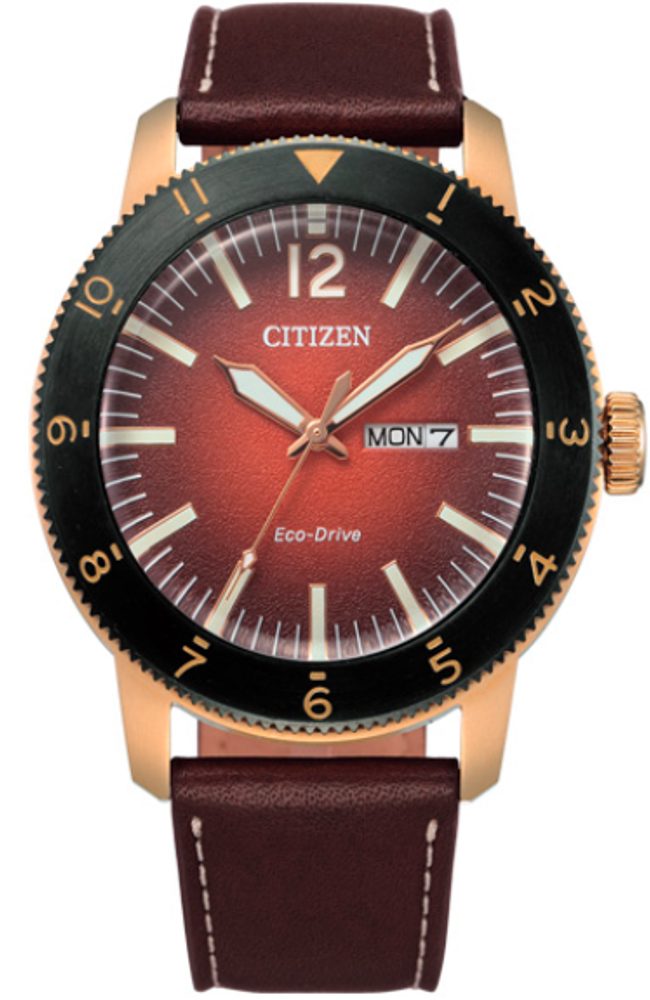 Citizen Eco-Drive AW0079-13X Citizen