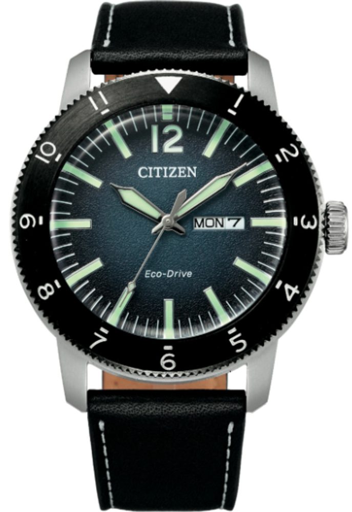 Citizen Eco-Drive AW0077-19L Citizen